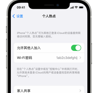 工业园区apple服务站点分享iPhone上个人热点丢失了怎么办 