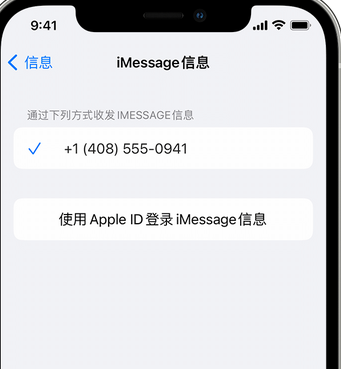 工业园区apple维修iPhone上无法正常发送iMessage信息