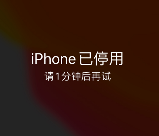 工业园区苹果手机维修分享:iPhone 显示“不可用”或“已停用”怎么办？还能保留数据吗？ 