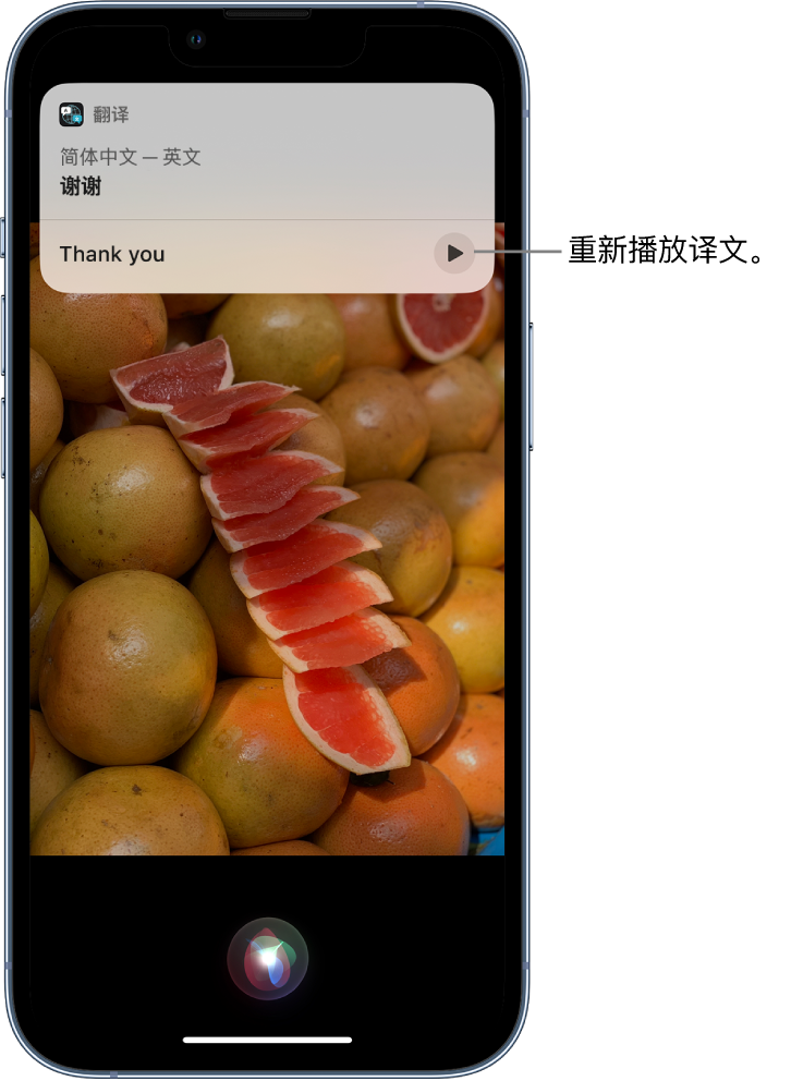 工业园区苹果14维修分享 iPhone 14 机型中使用 Siri：了解 Siri 能帮你做什么 