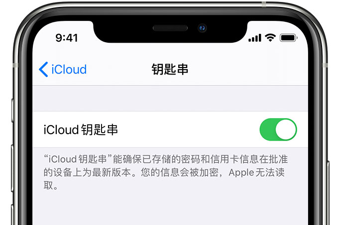 工业园区苹果手机维修分享在 iPhone 上开启 iCloud 钥匙串之后会储存哪些信息 