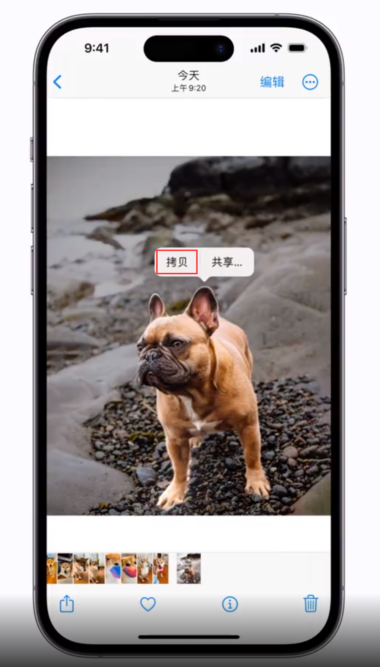 工业园区苹果手机维修分享 iOS 16 自带一键抠图功能 