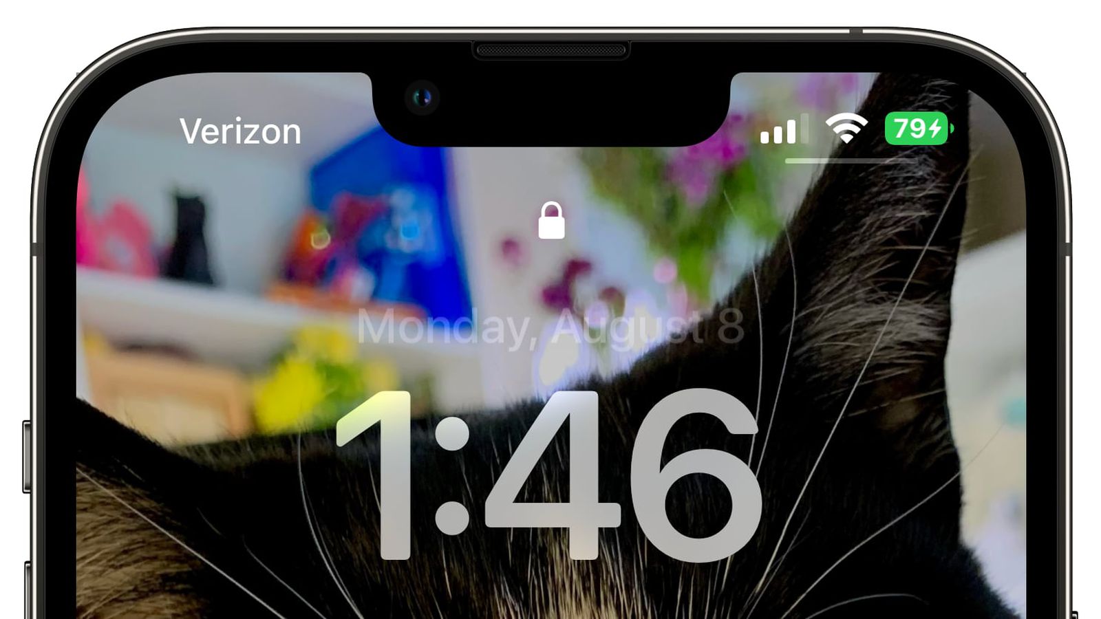 工业园区苹果手机维修分享iOS 16 beta 5 支持状态栏显示电池百分比，如何开启？支持哪些机型 
