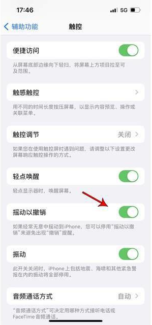 工业园区苹果手机维修分享iPhone手机如何设置摇一摇删除文字 