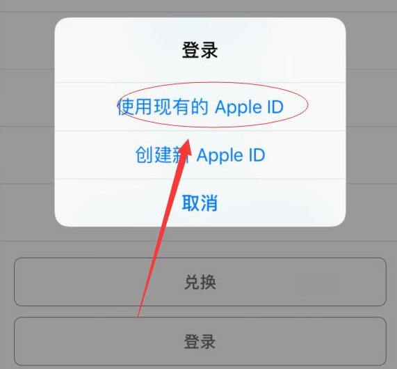 工业园区苹果手机维修分享两台iPhone设备可以同时登录一个Apple ID吗 