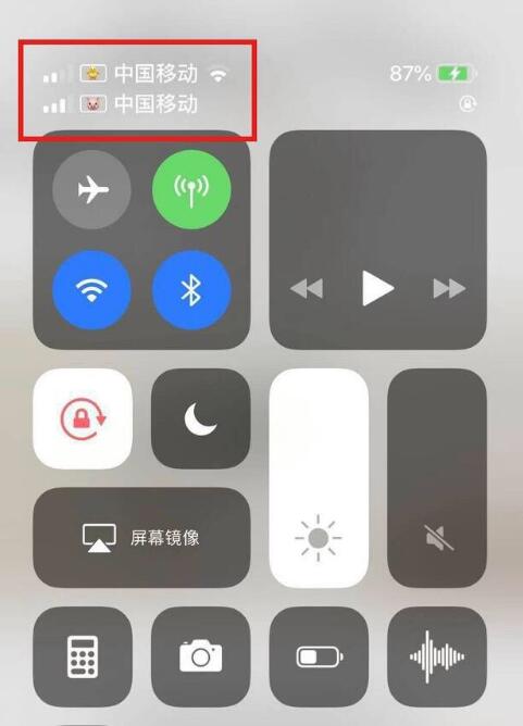 工业园区苹果手机维修分享为 iPhone 12 双卡设置标签 