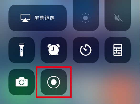 工业园区苹果手机维修分享iPhone12录屏方法教程 